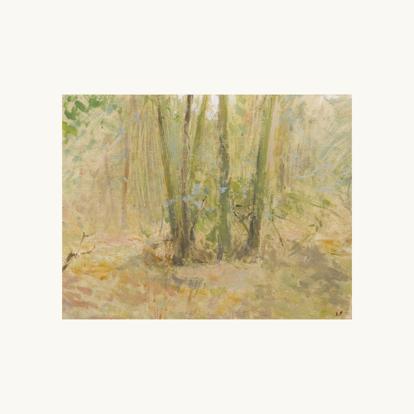 Arbres dans la forêt