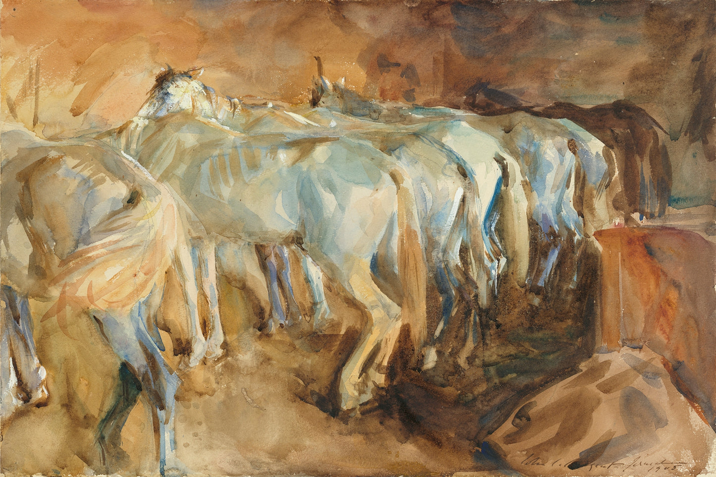 Bus Horses in Jerusalem