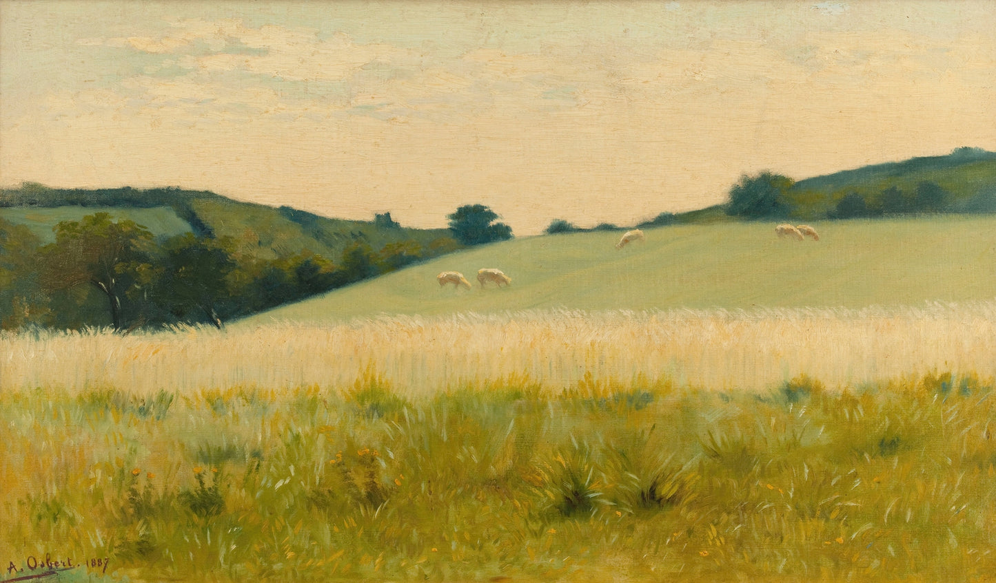 Fields of Diélette