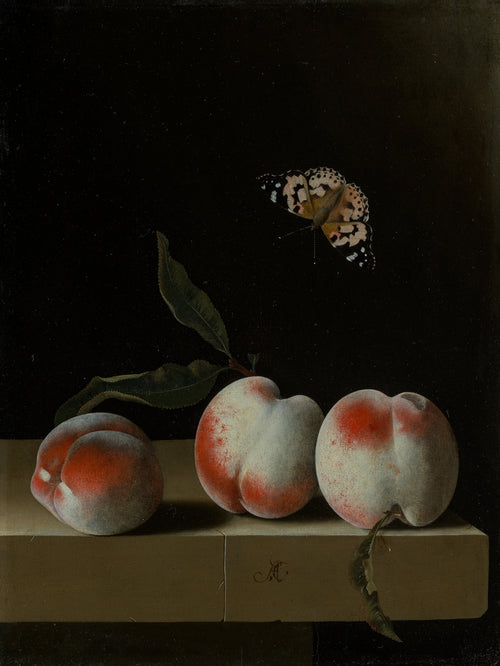 Three Peaches on a Stone Ledge with a Painted Lady Butterfly
