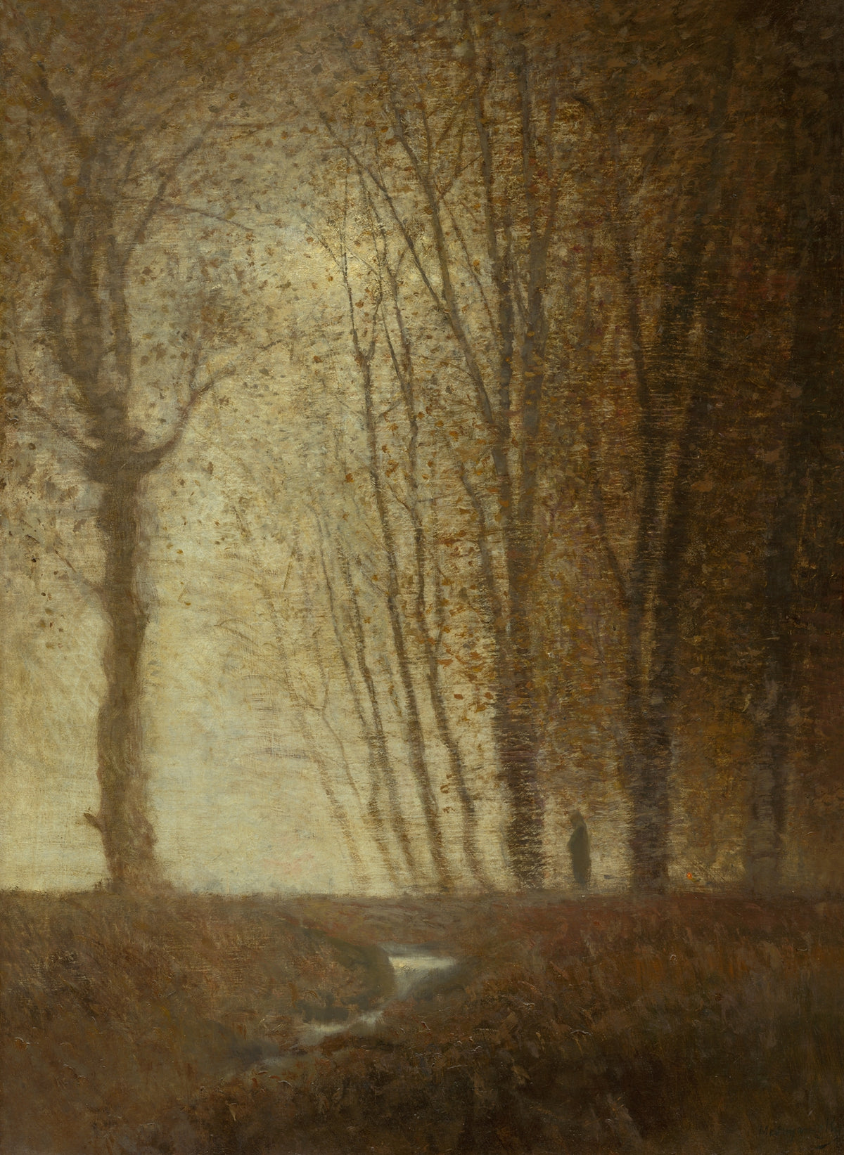 Edge of the Forest in the Moonlight