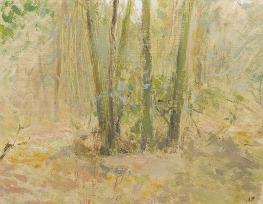 Arbres dans la forêt