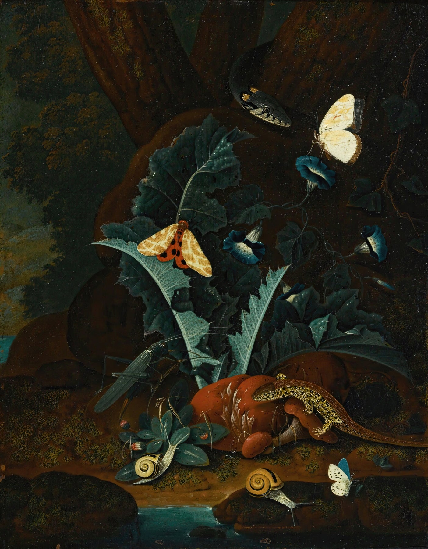 Forest Floor Still Life With Snails, A Lizard, A Grasshopper, Moths And A Snake