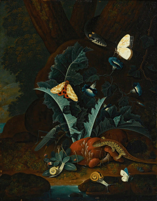 Forest Floor Still Life With Snails, A Lizard, A Grasshopper, Moths And A Snake