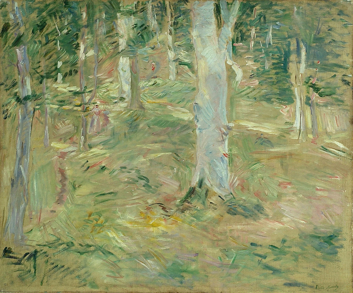 Forêt de Compiègne