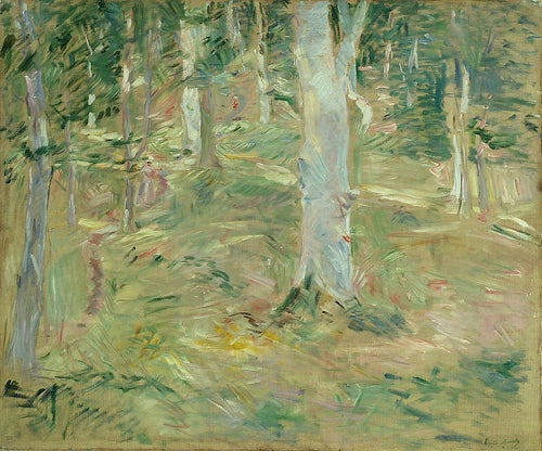 Forêt de Compiègne