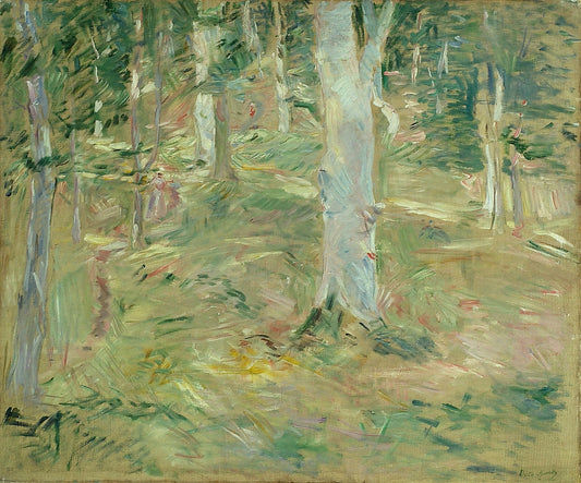 Forêt de Compiègne