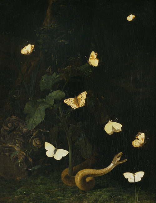 Herbs, Butterflies and a Serpent