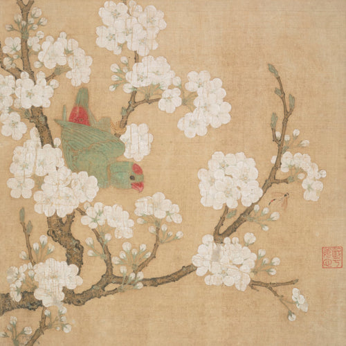 Parrot and Insect among Pear Blossoms