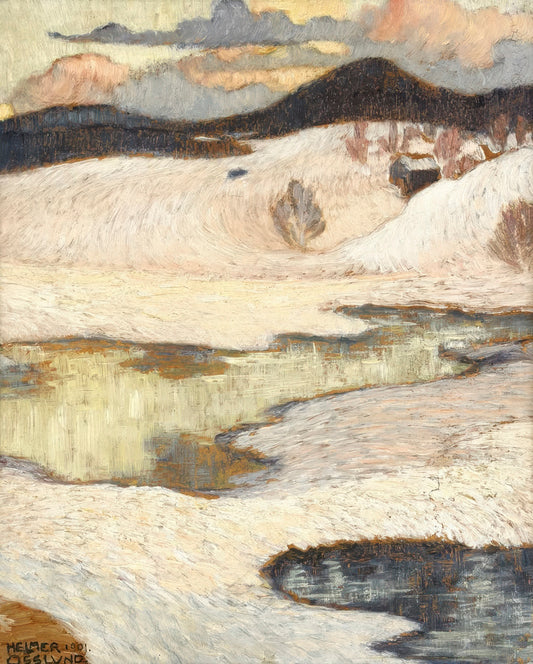 Norrland Winter Landscape