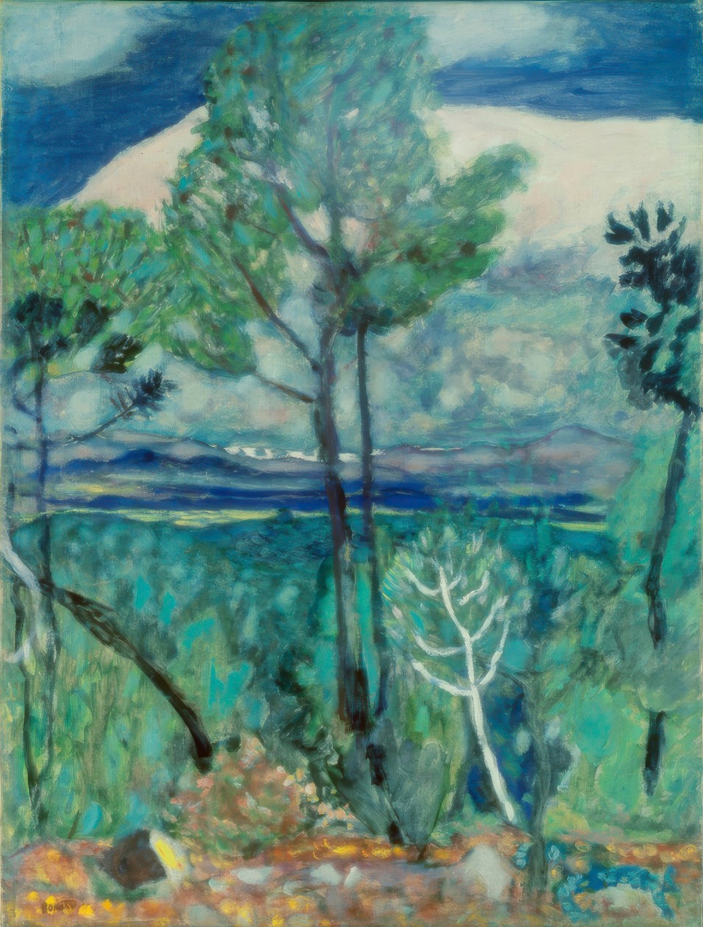 Landscape