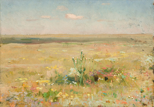 Steppe