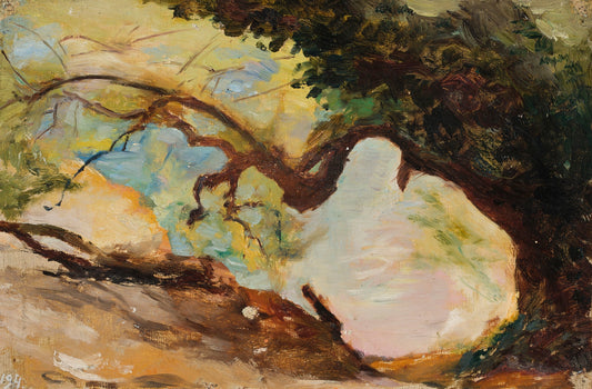 Trees in Alupka