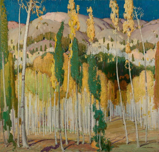 Aspen Trees at Twining