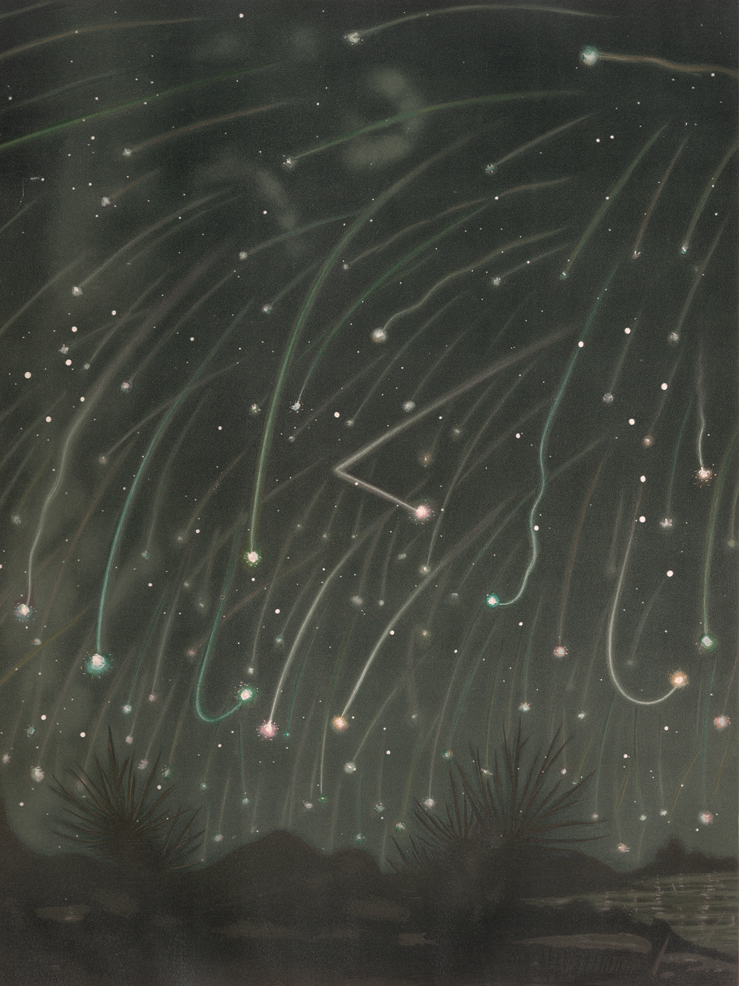 The November Meteors (1882)
