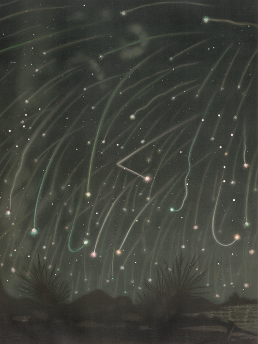 The November Meteors (1882)