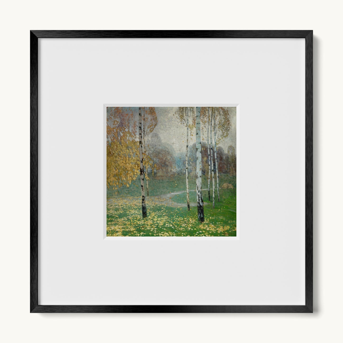 Birch Trees