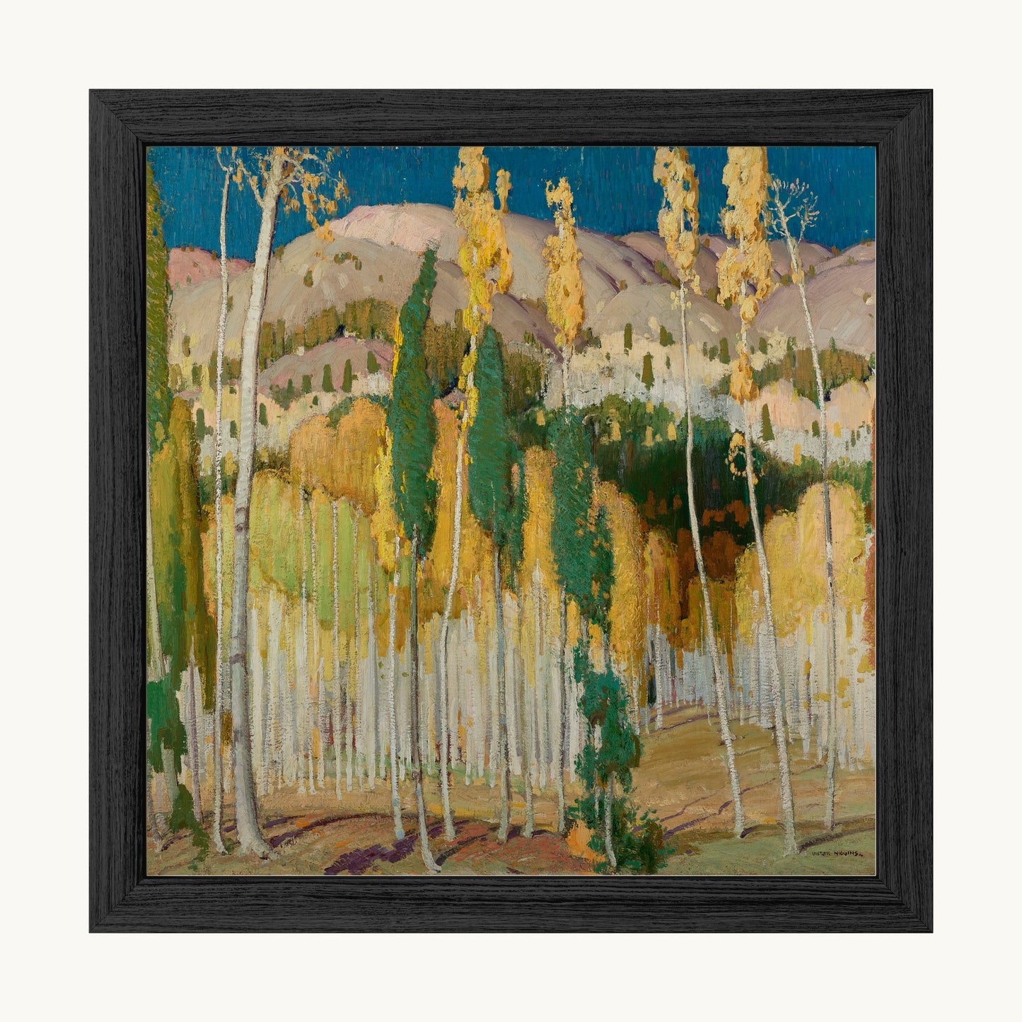 Aspen Trees at Twining