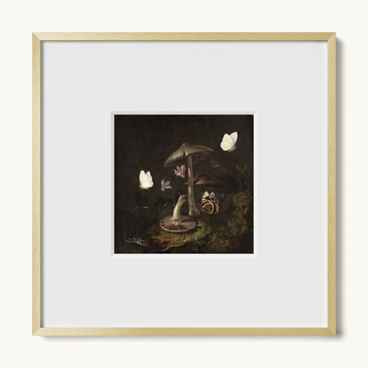 A Sottobosco with Mushrooms, Butterflies, a Dragonfly, a Snake and a Lizard