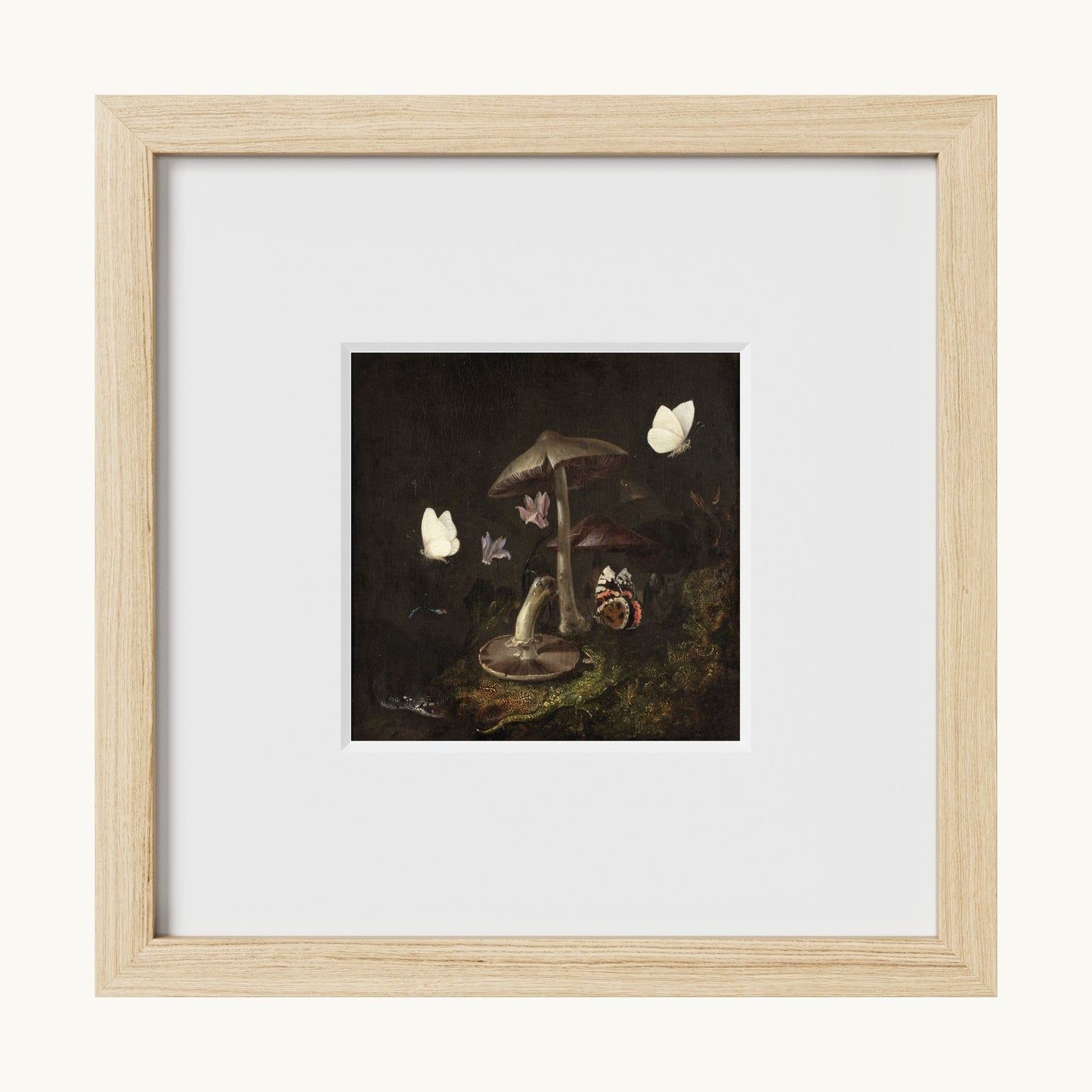 A Sottobosco with Mushrooms, Butterflies, a Dragonfly, a Snake and a Lizard