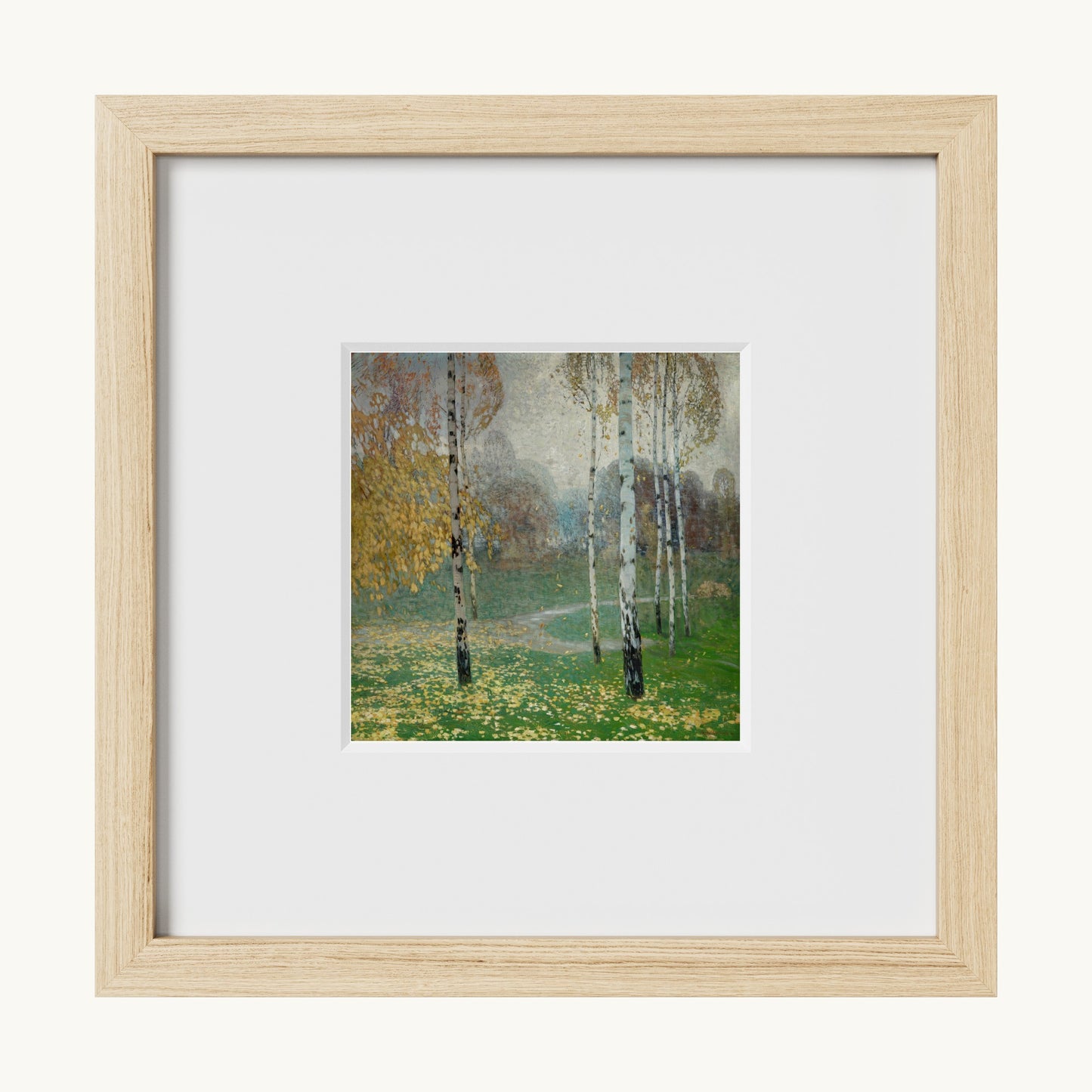 Birch Trees