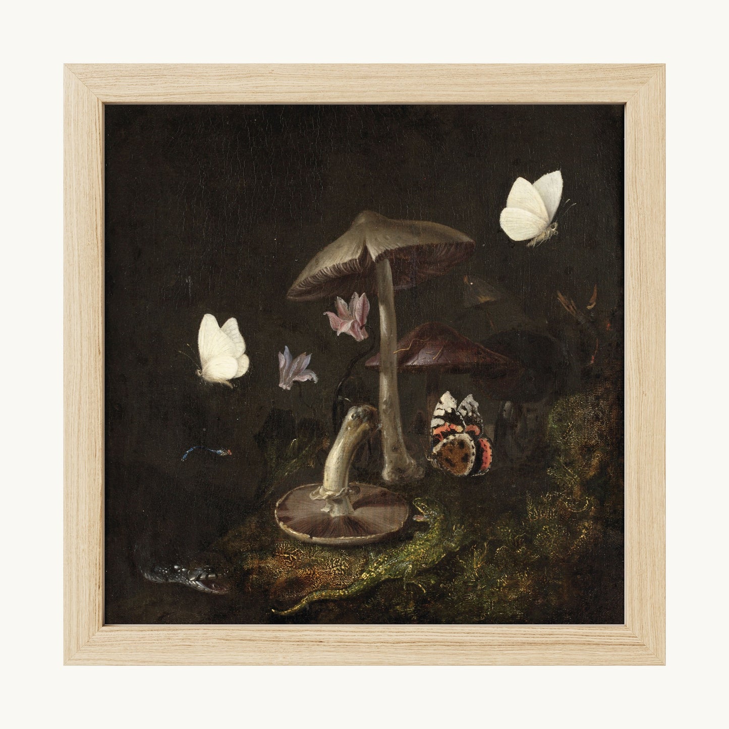 A Sottobosco with Mushrooms, Butterflies, a Dragonfly, a Snake and a Lizard