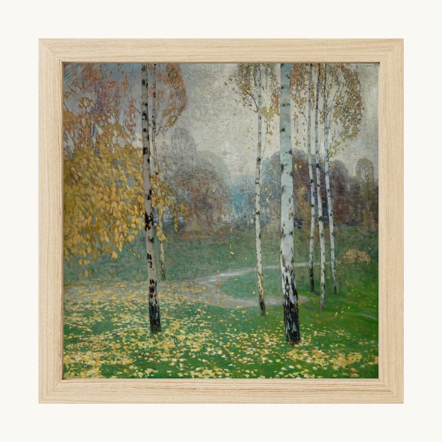 Birch Trees