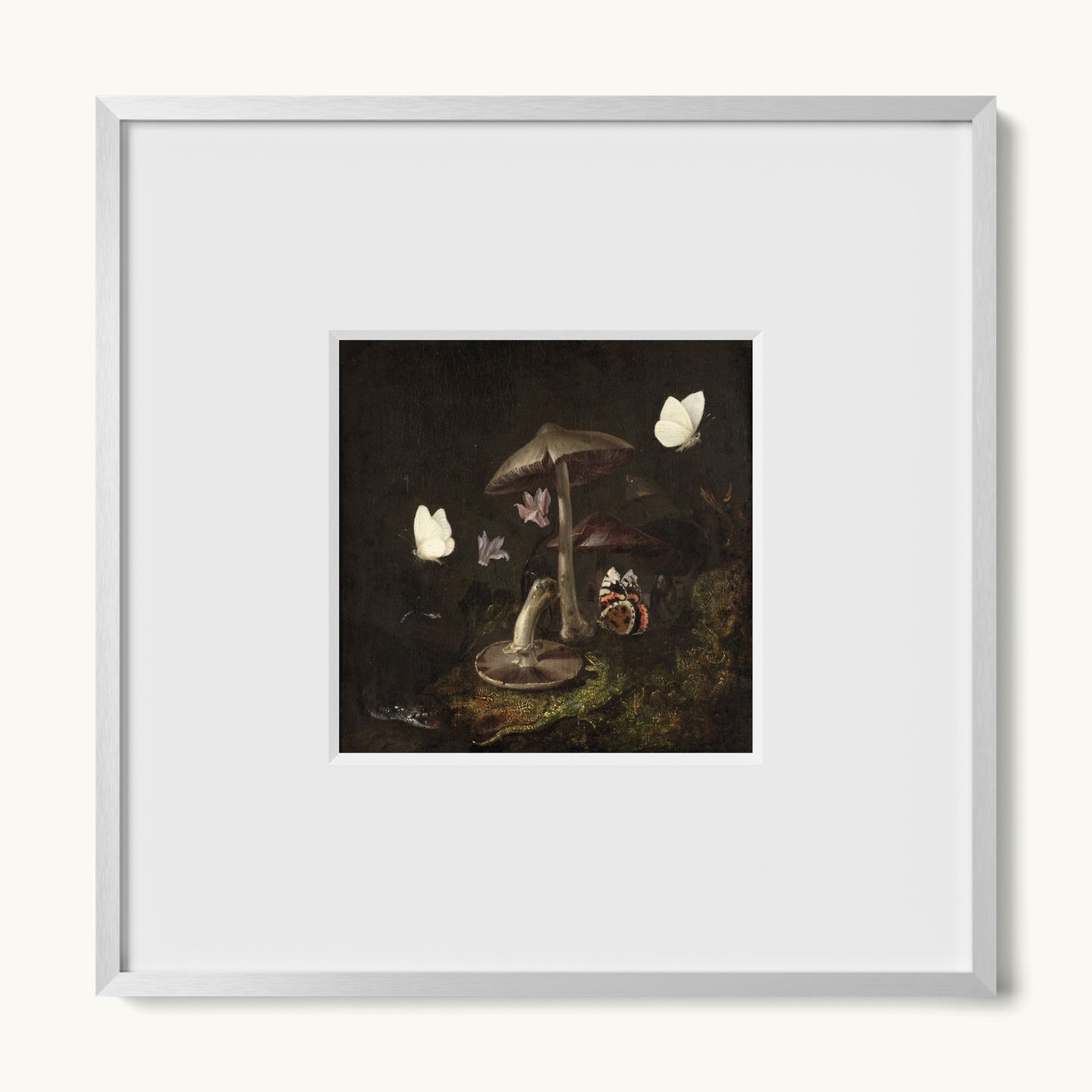 A Sottobosco with Mushrooms, Butterflies, a Dragonfly, a Snake and a Lizard