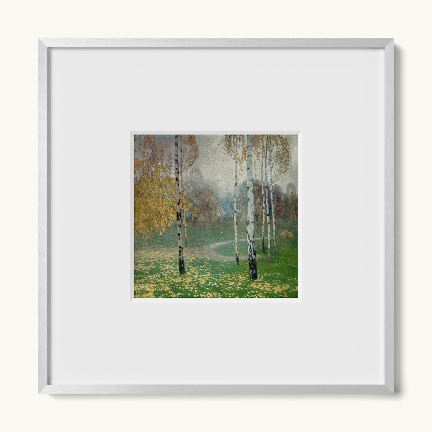 Birch Trees