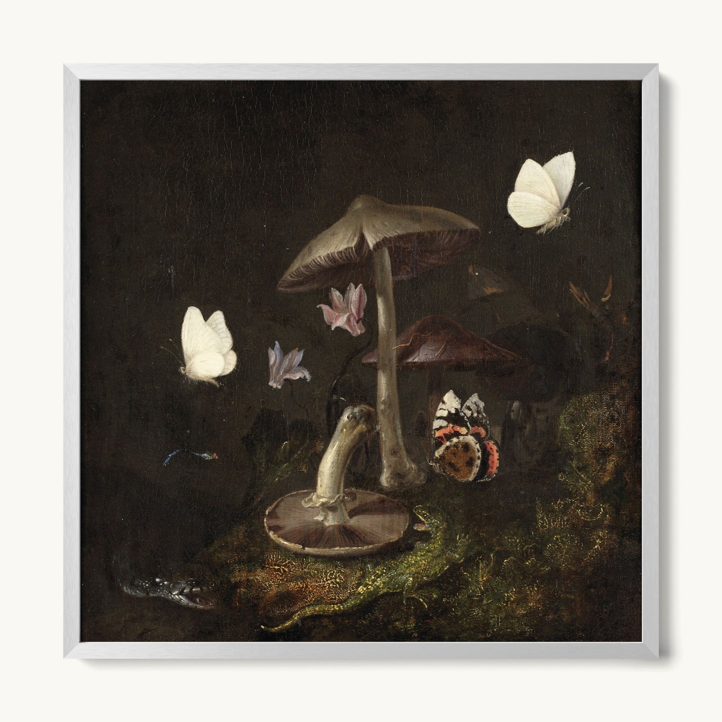 A Sottobosco with Mushrooms, Butterflies, a Dragonfly, a Snake and a Lizard