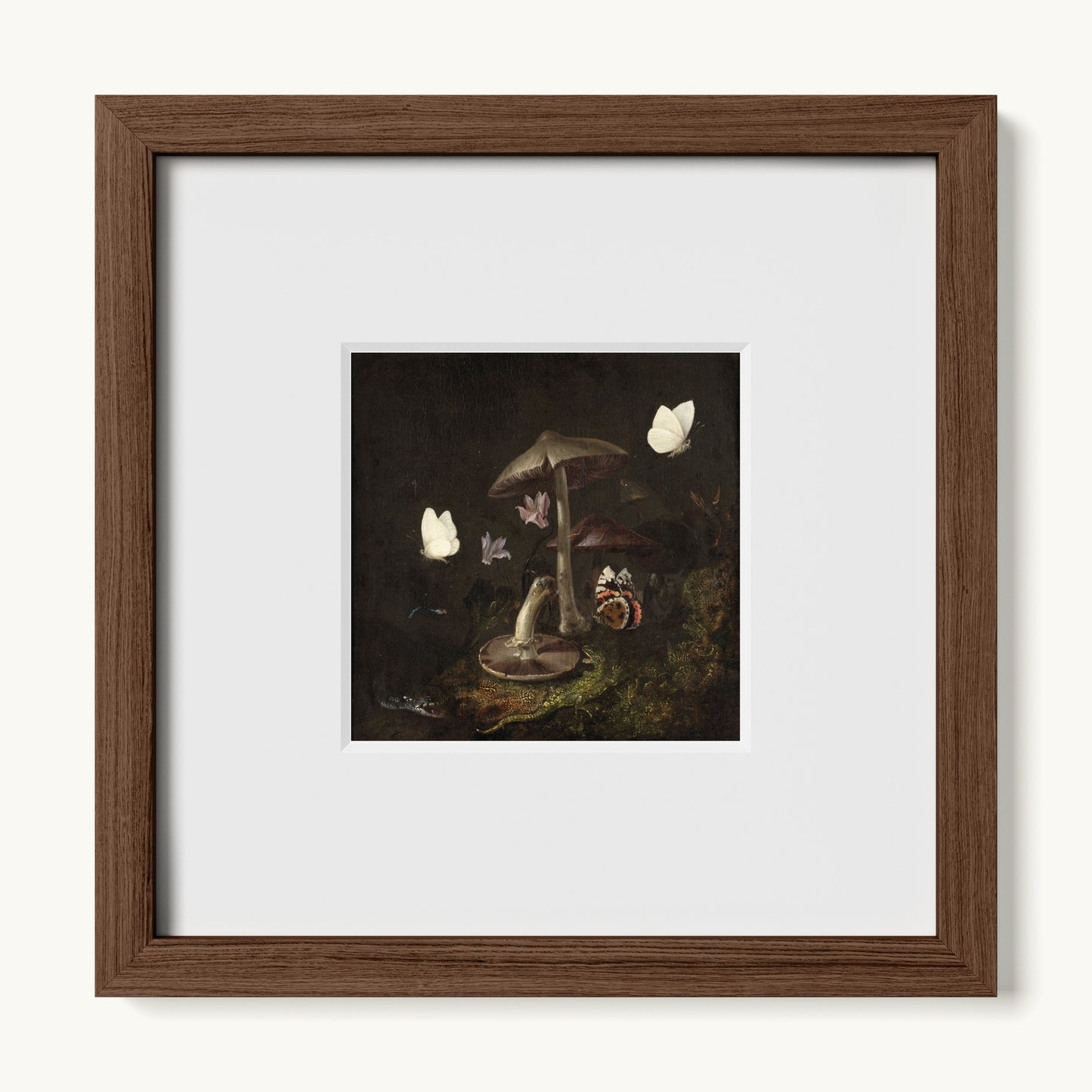 A Sottobosco with Mushrooms, Butterflies, a Dragonfly, a Snake and a Lizard