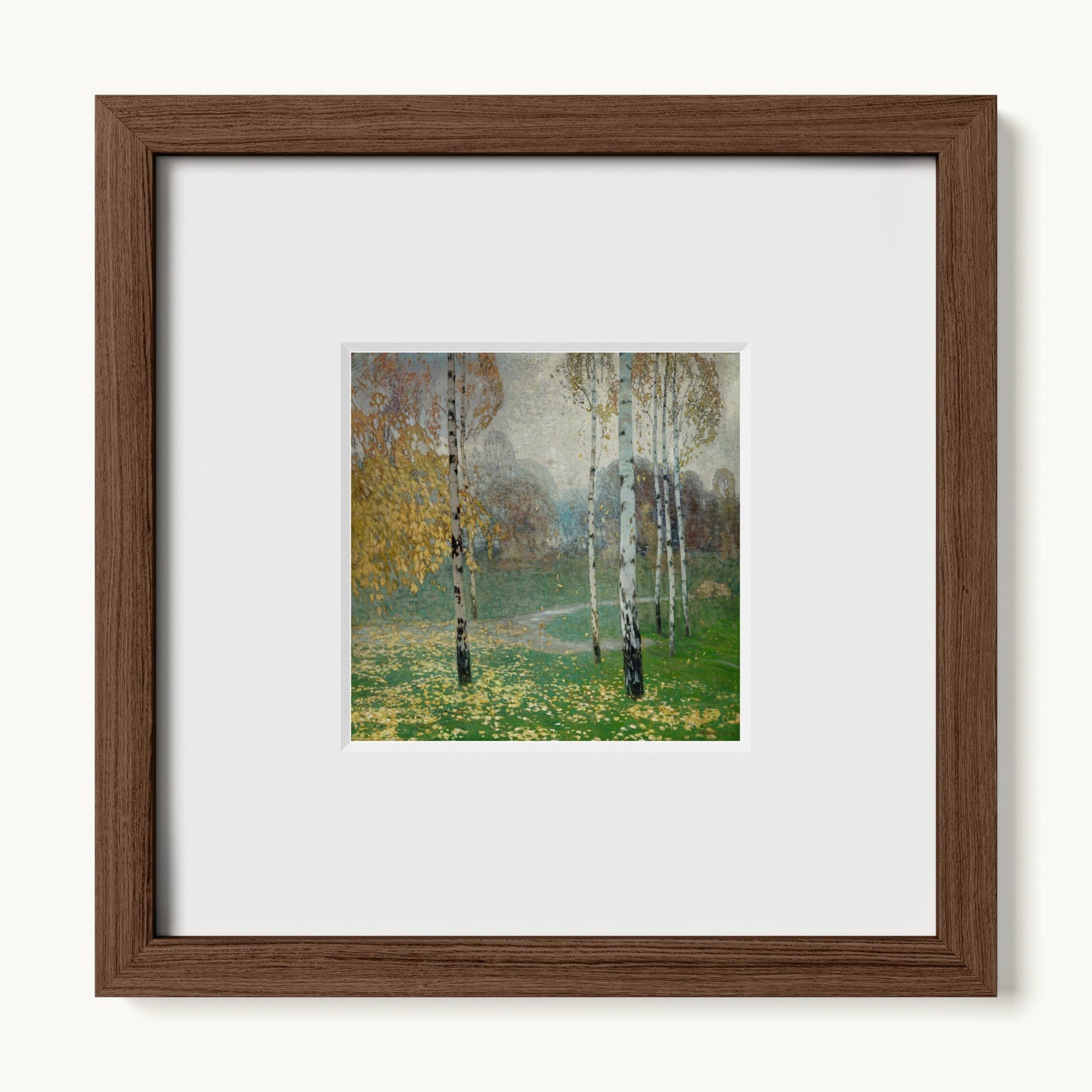 Birch Trees