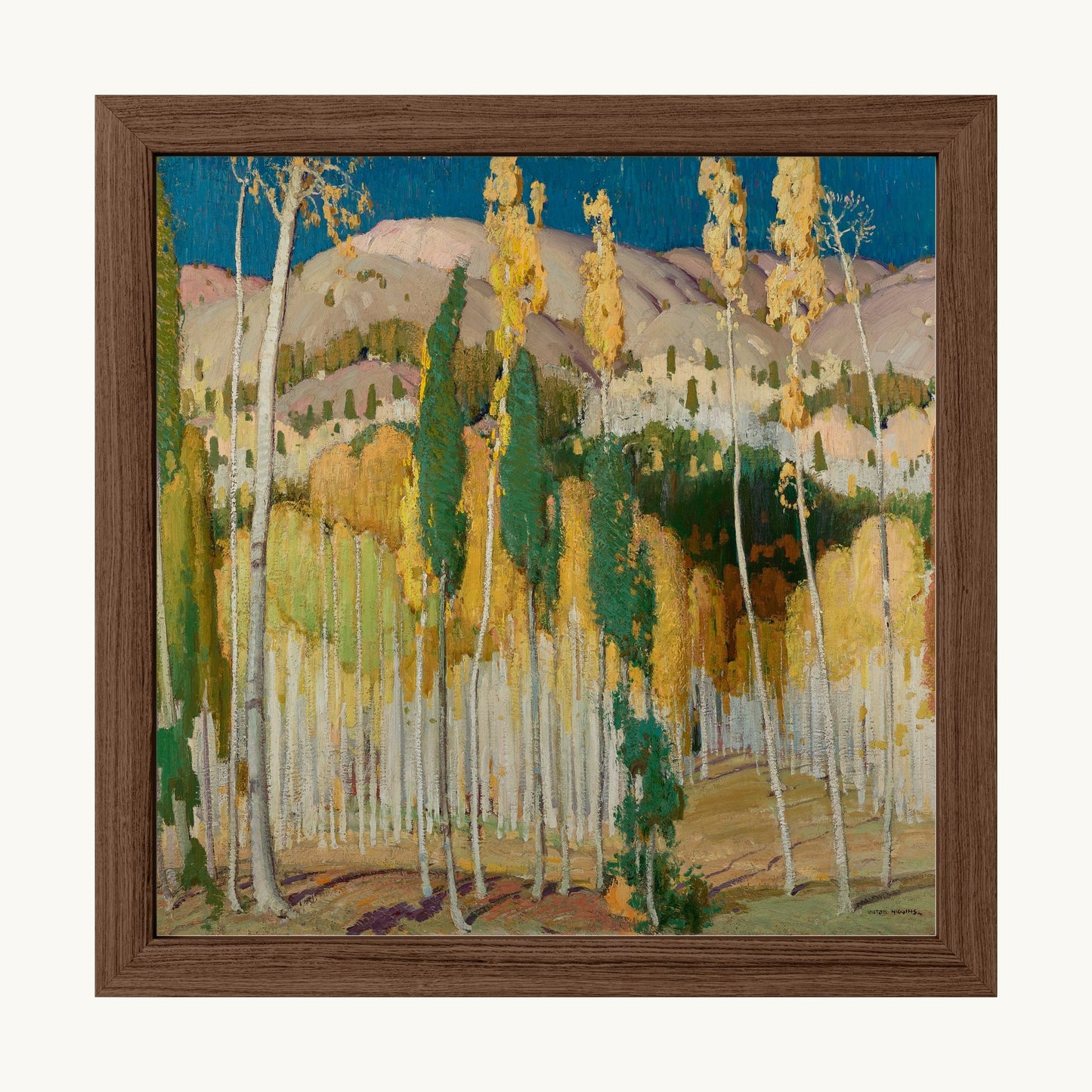 Aspen Trees at Twining