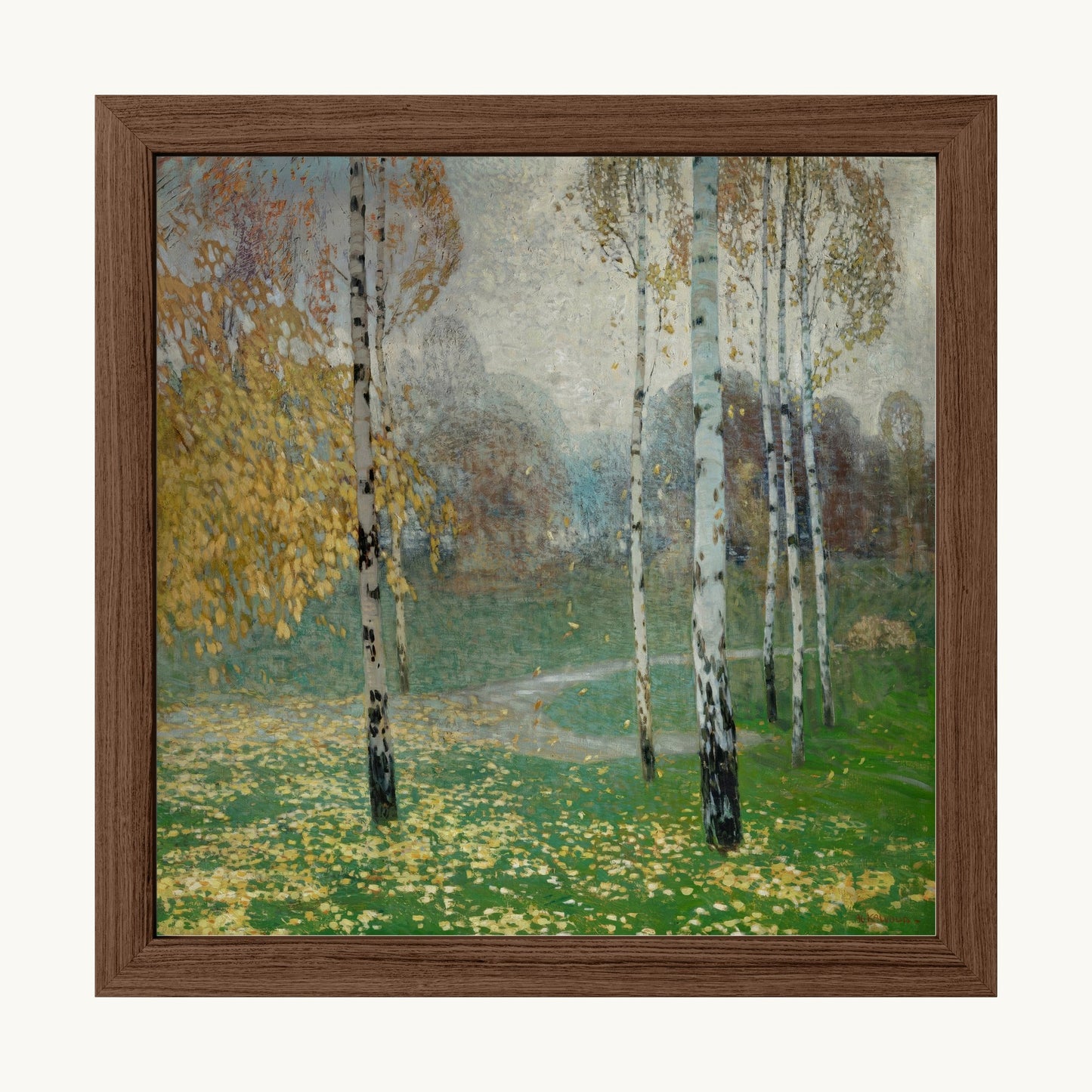 Birch Trees