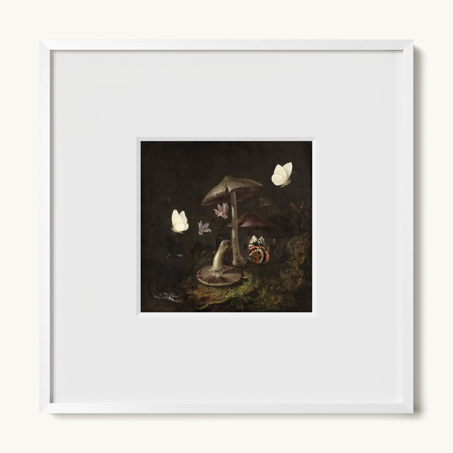 A Sottobosco with Mushrooms, Butterflies, a Dragonfly, a Snake and a Lizard
