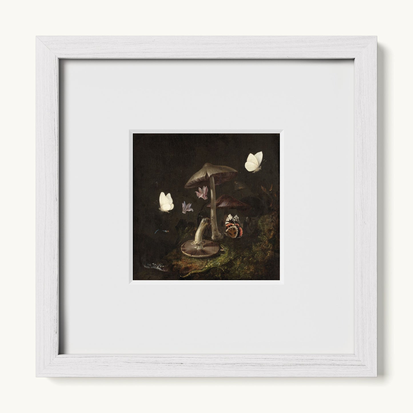 A Sottobosco with Mushrooms, Butterflies, a Dragonfly, a Snake and a Lizard