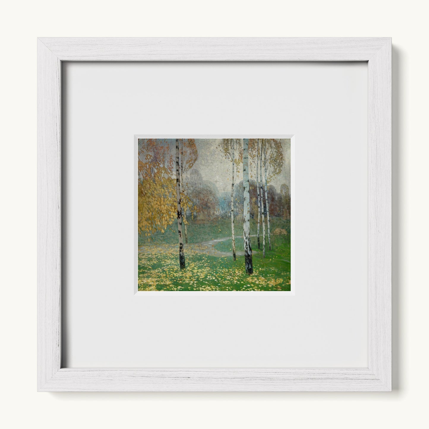 Birch Trees