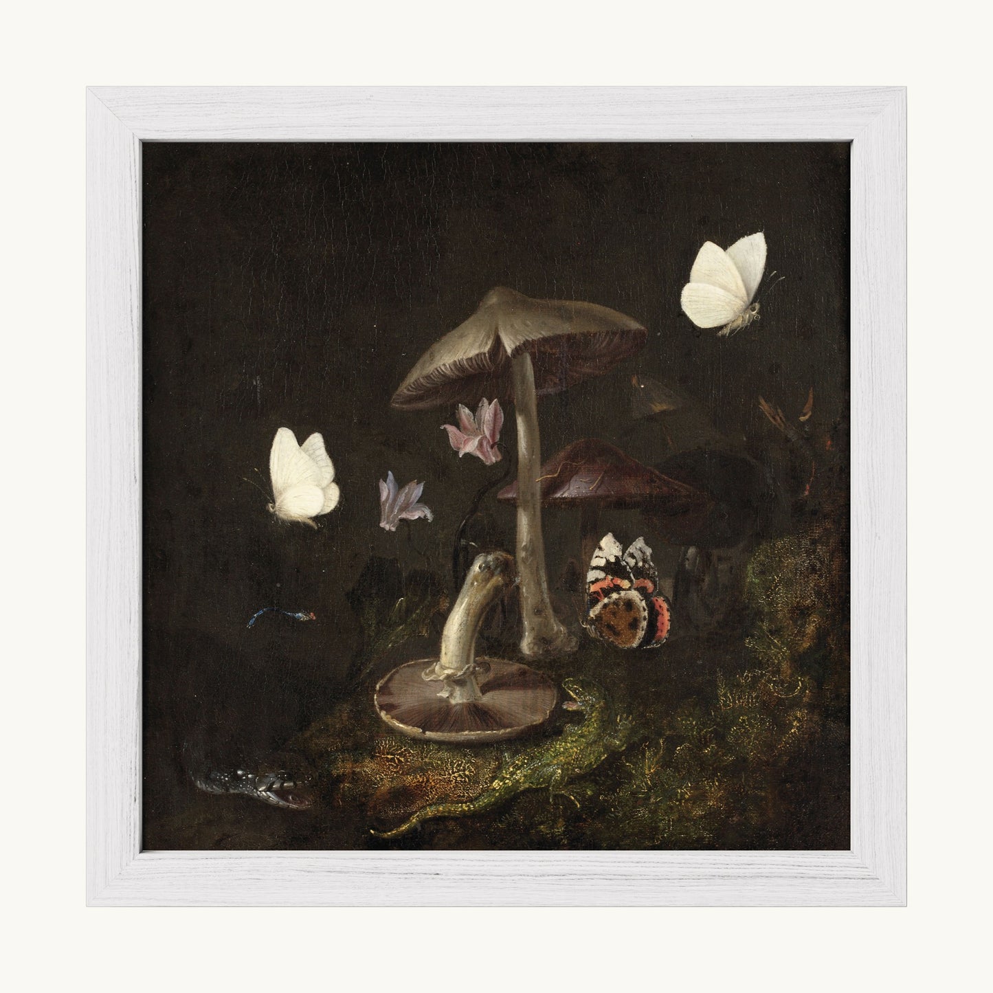 A Sottobosco with Mushrooms, Butterflies, a Dragonfly, a Snake and a Lizard
