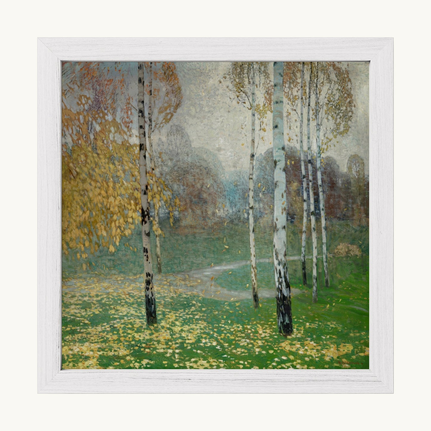Birch Trees