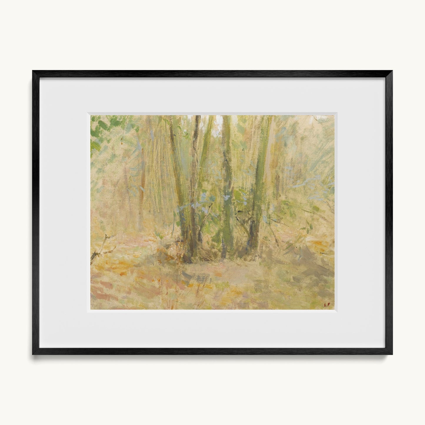 Arbres dans la forêt