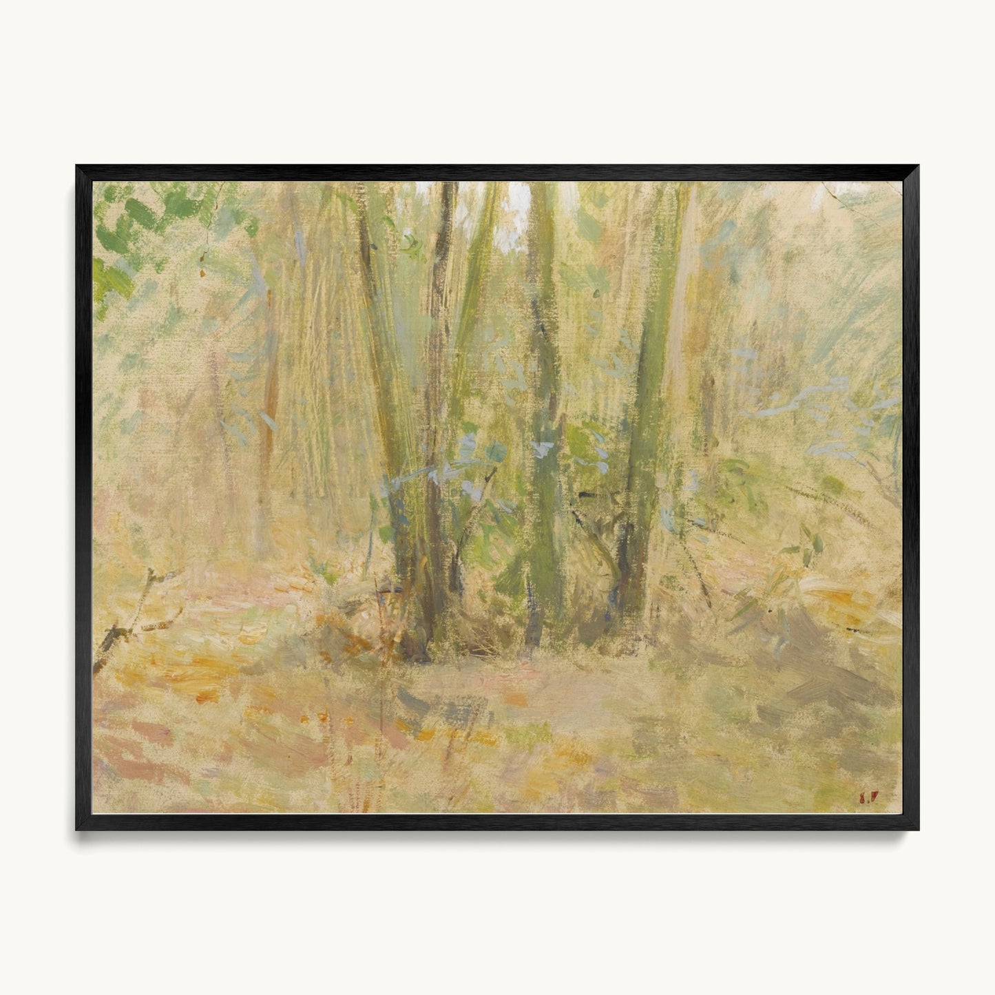 Arbres dans la forêt
