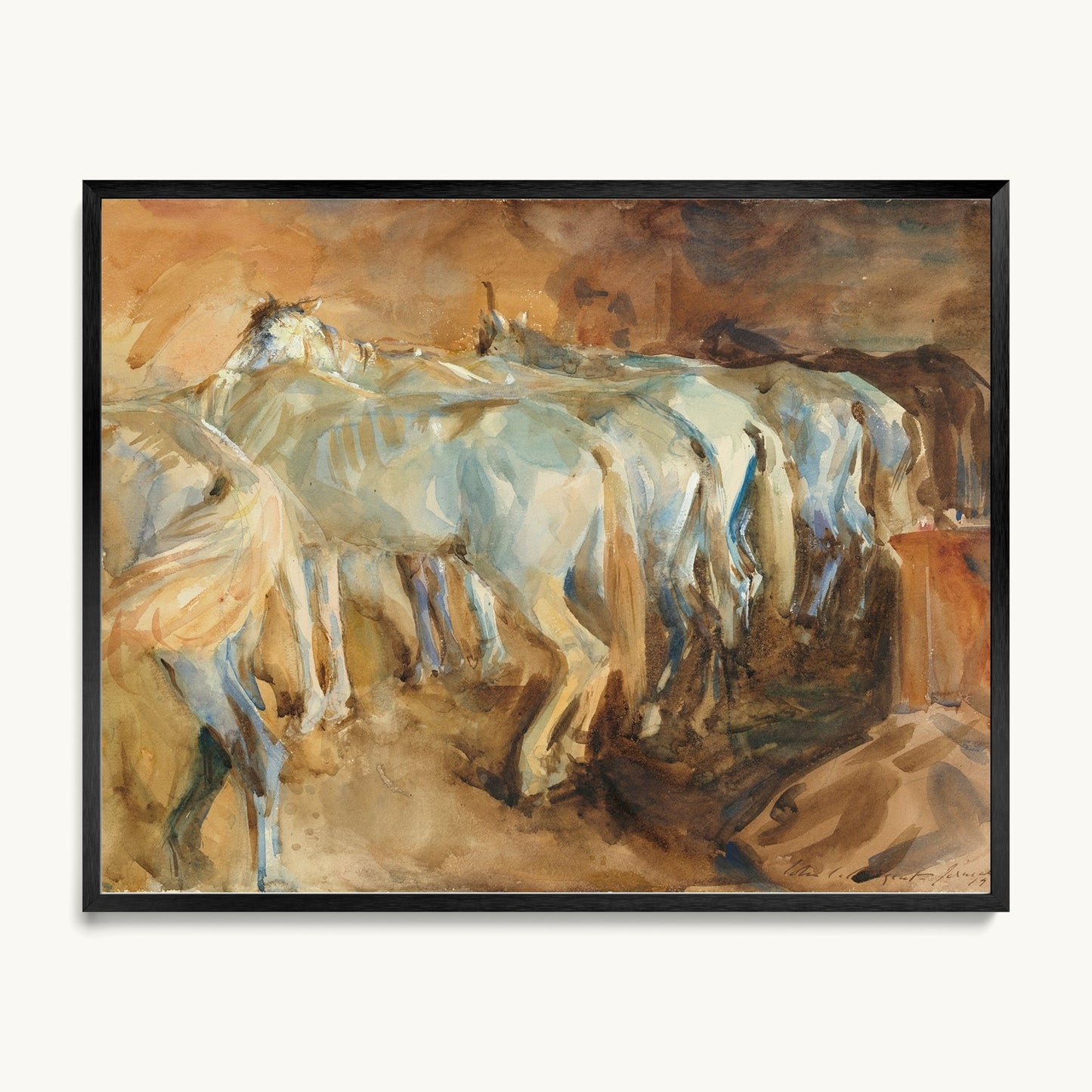 Bus Horses in Jerusalem
