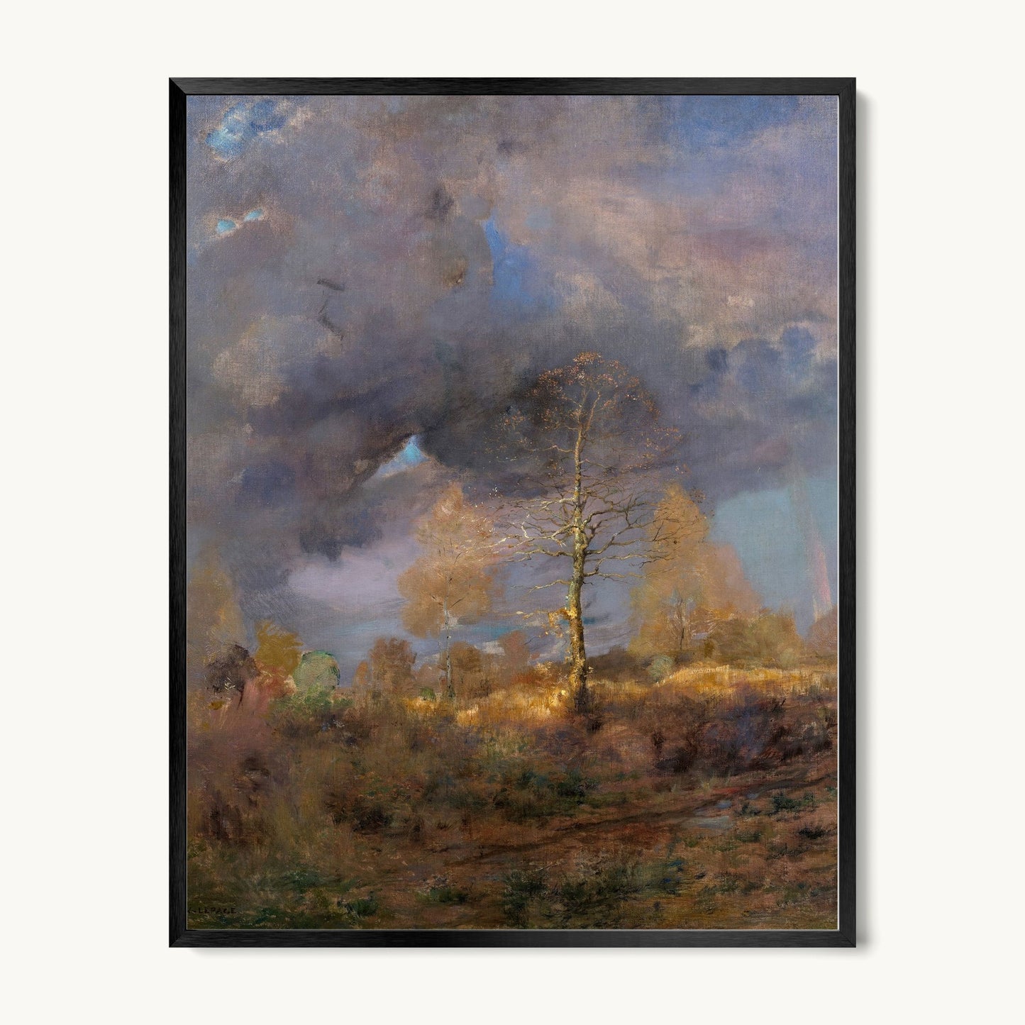 After the Storm