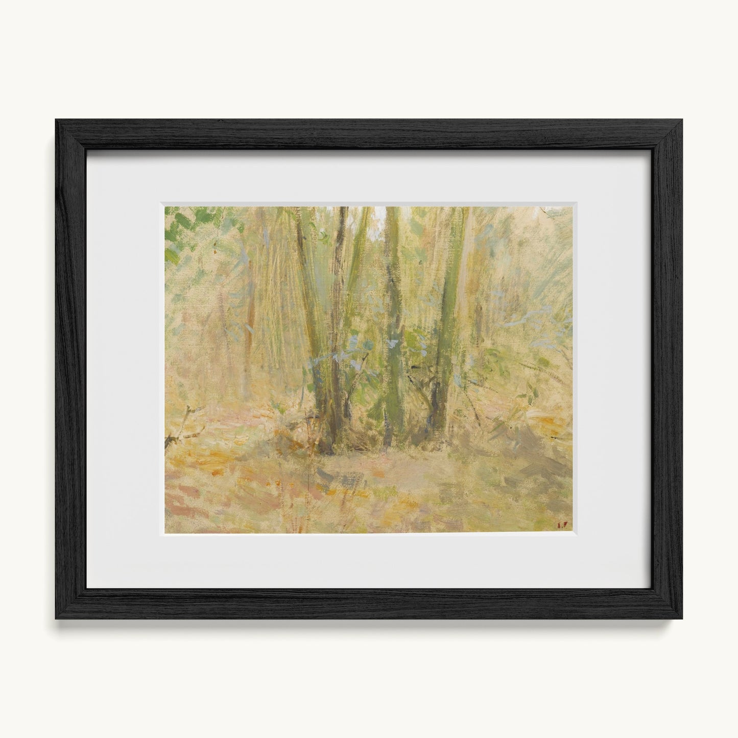 Arbres dans la forêt