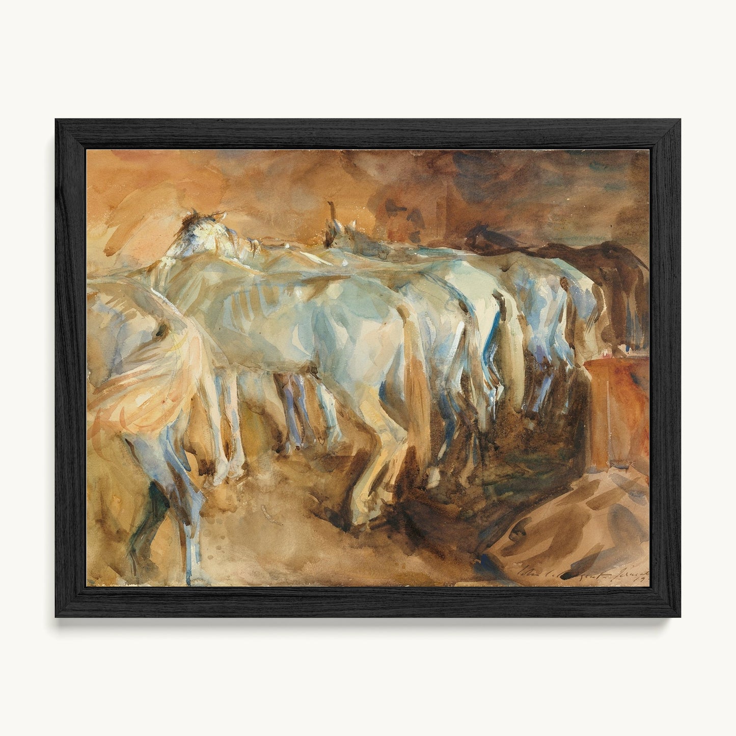 Bus Horses in Jerusalem