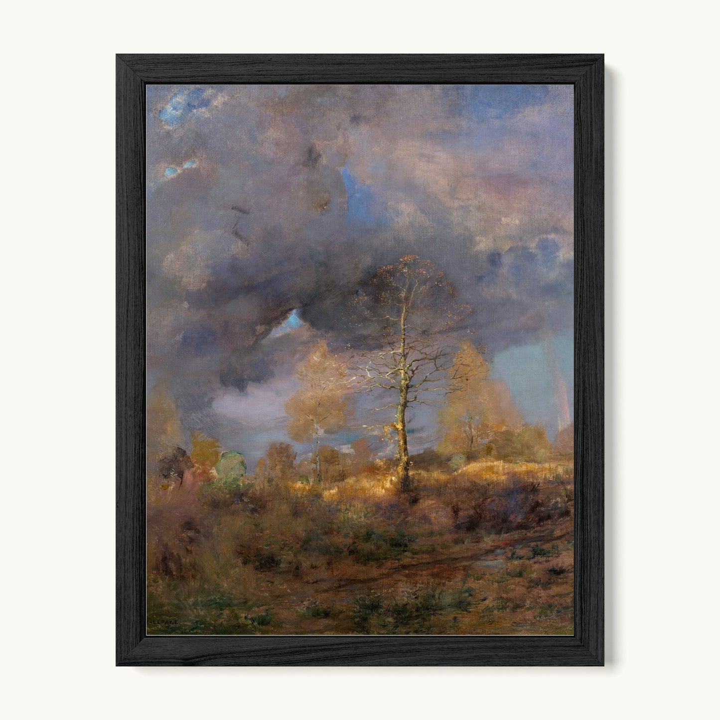 After the Storm