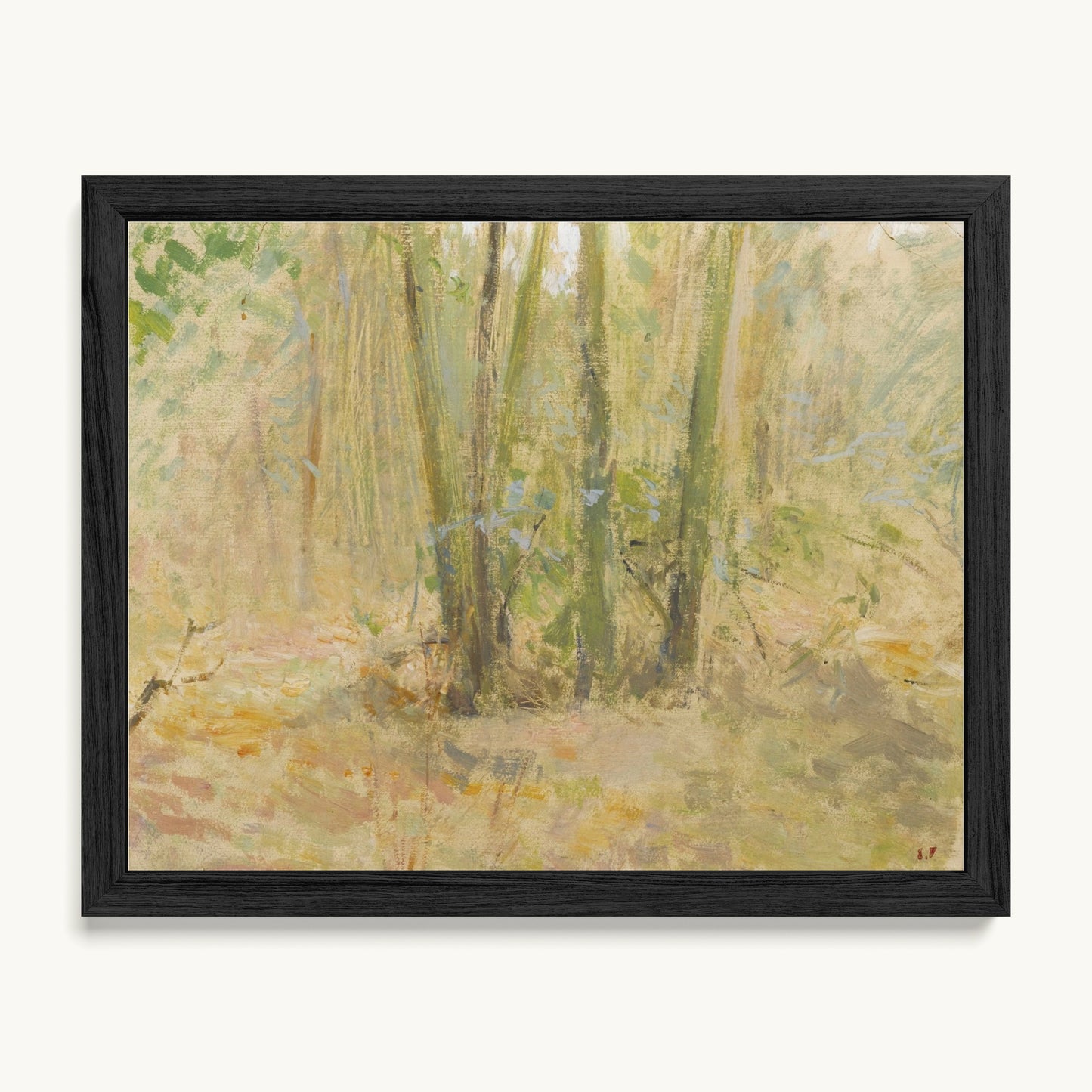 Arbres dans la forêt