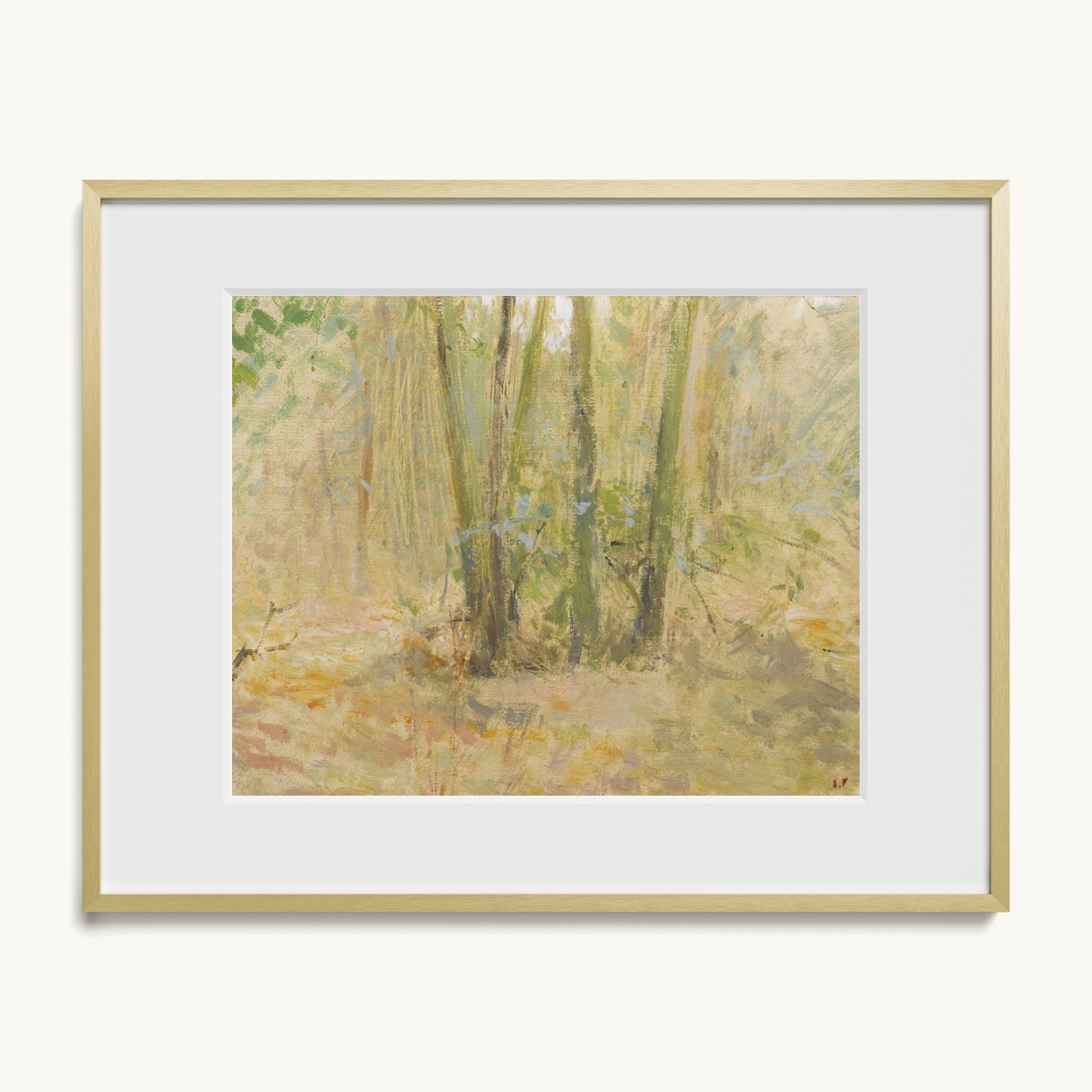 Arbres dans la forêt