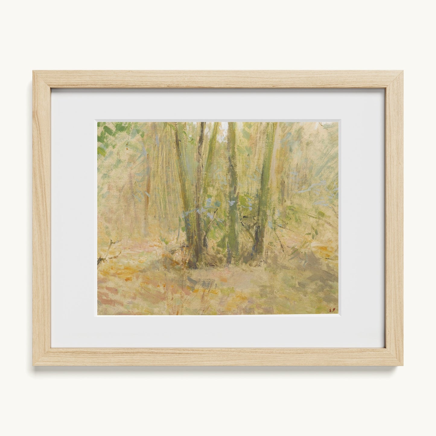Arbres dans la forêt