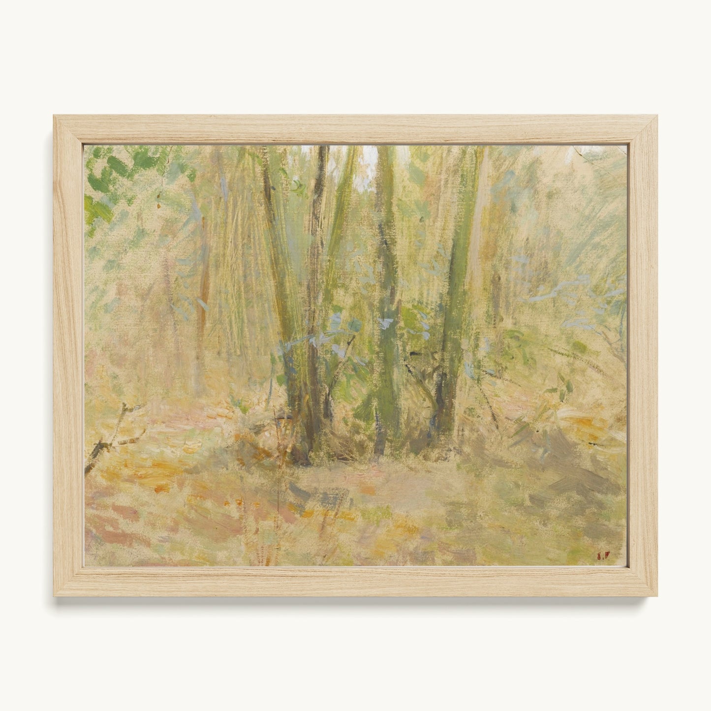 Arbres dans la forêt